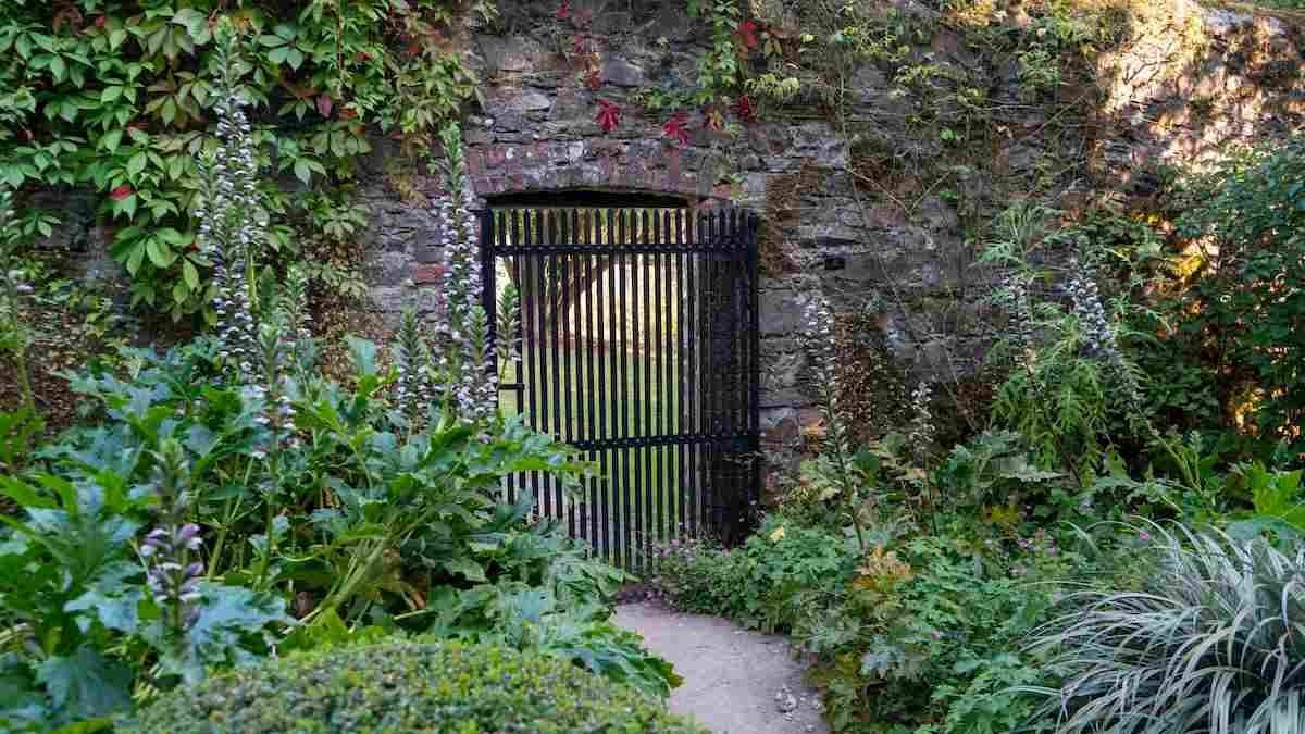 Dublin to Waterford: Great Places to Stop Along the Way