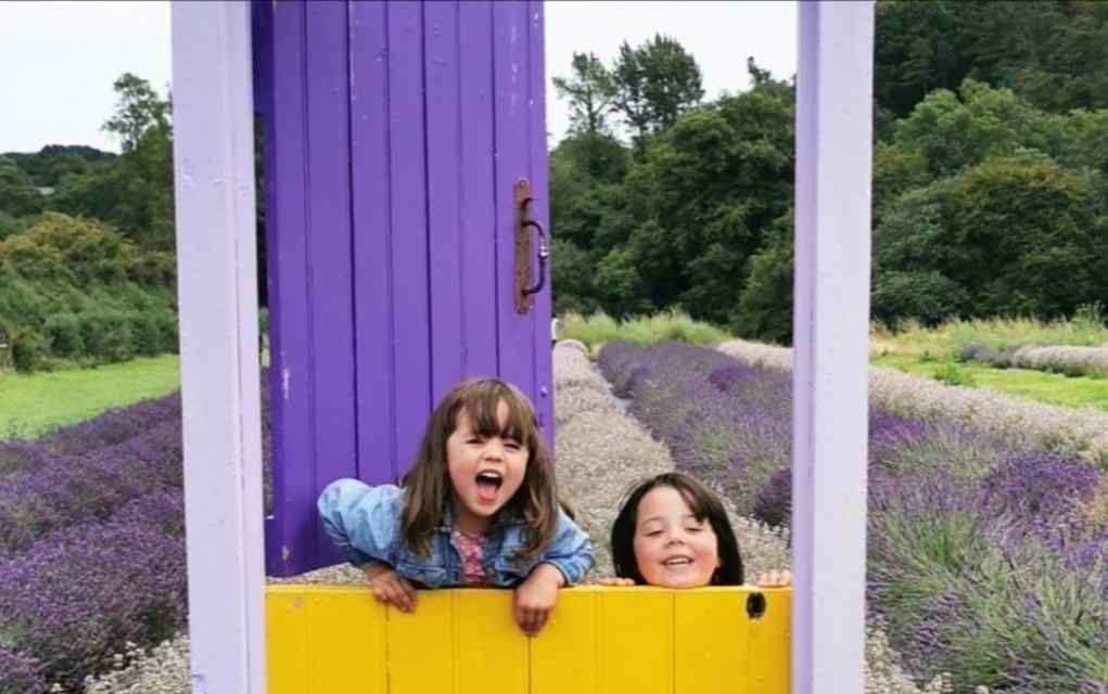 Family Review: A Visit to Wexford Lavender Farm