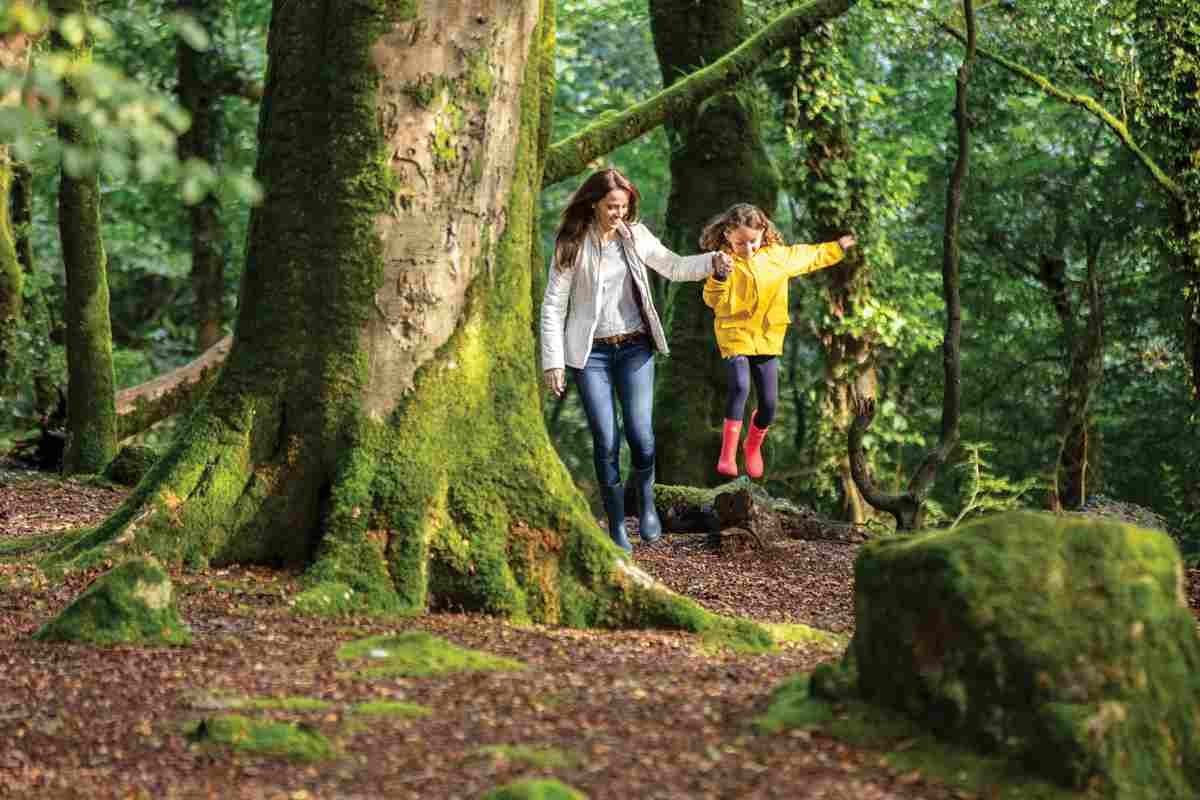 Keep Track of Your Family Wellness with Our Downloadable Calendar