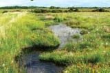 FREE Things To Do In Offaly with Kids
