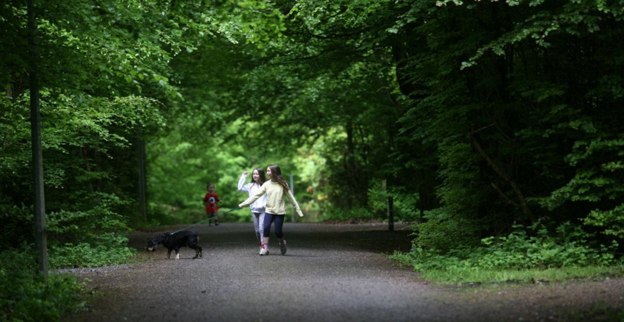 FREE Things to Do in Roscommon with Kids