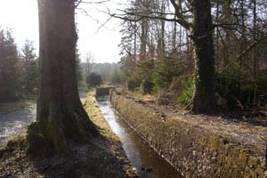 FREE Things To Do in Kildare with Kids