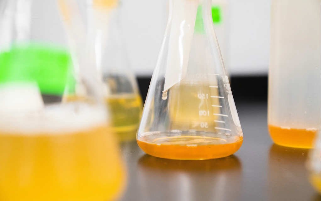 5 Fun Halloween Science Experiments for Kids to Try