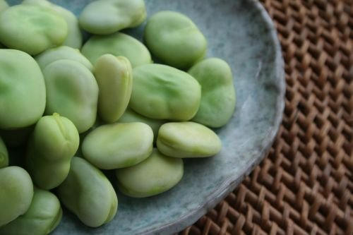 Broad Bean Hummus