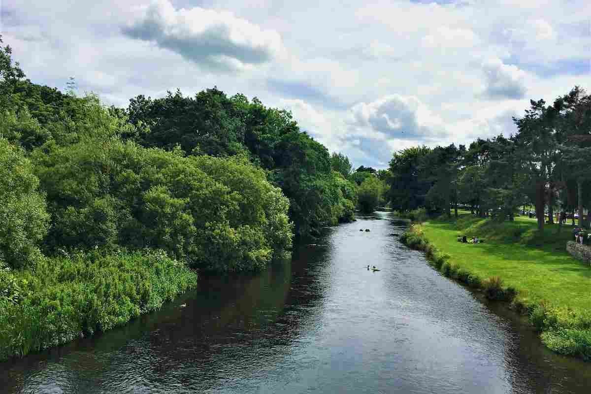 10 Great Walks in Kildare to Explore with Kids