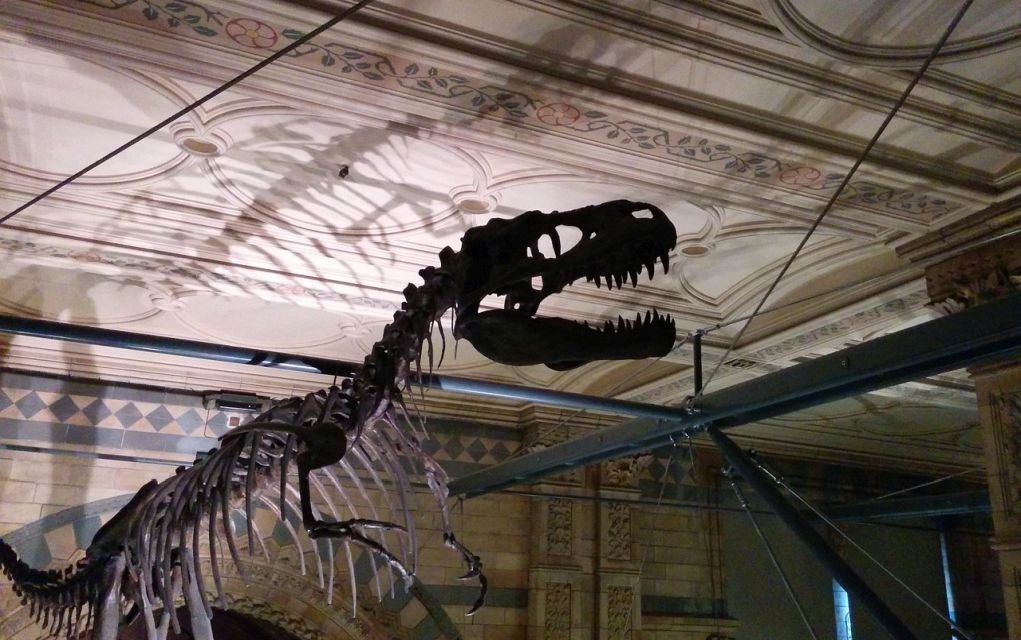 Museum Sleepover Nights That Kids Will Be Thrilled By