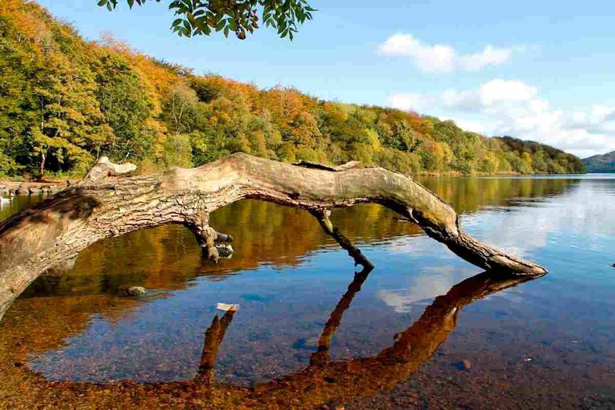 9 Stunningly Scenic Places for Family Walks in Sligo