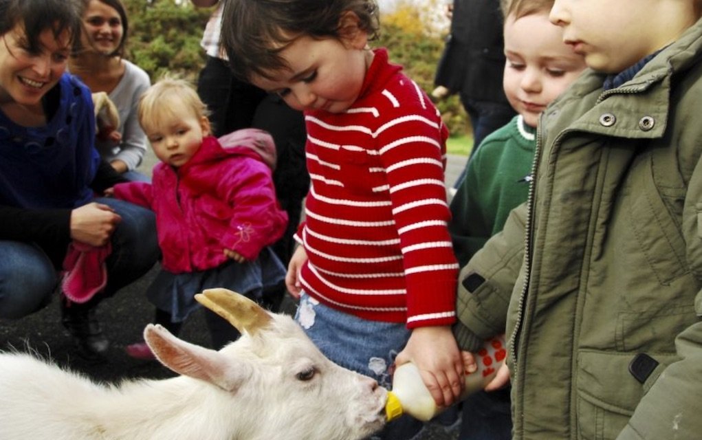 Nore Valley Park a Family Destination with a Difference