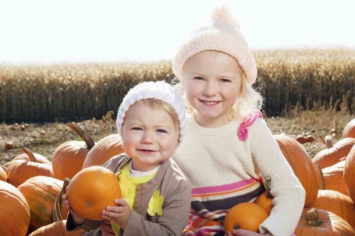 Not-So-Spooky Things to Do in Ireland This Halloween Midterm