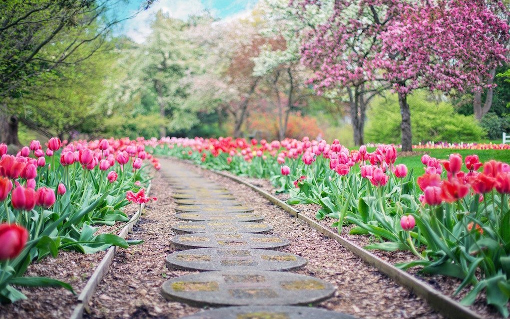 Our Pick of Super Spring Walks for Families in Ireland