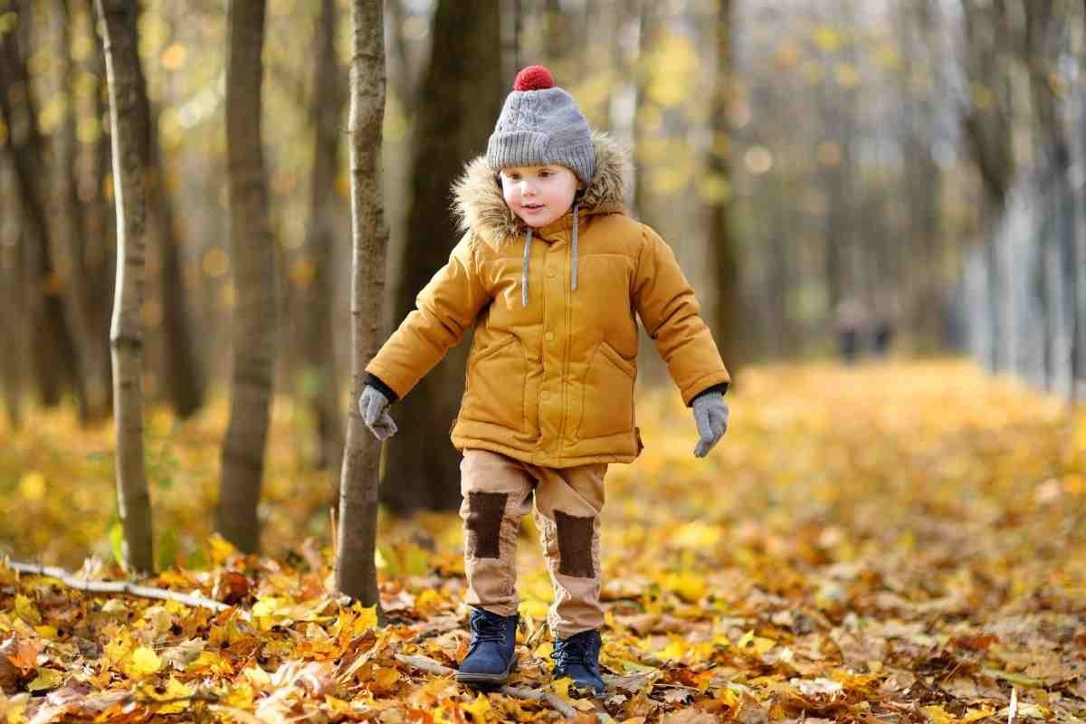 Our Pick of the Best Autumn Walks for Families in Ireland