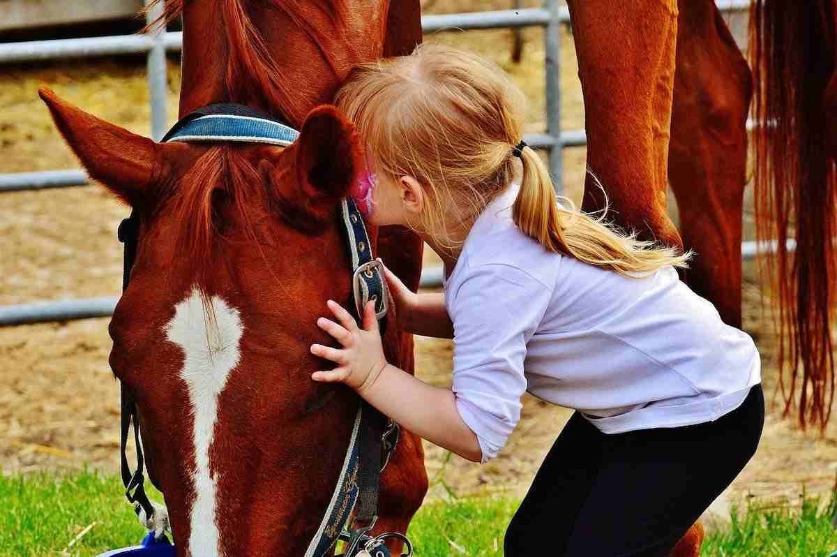 13 Outstanding Places to See Horses in Ireland (and Even Saddle Up!)
