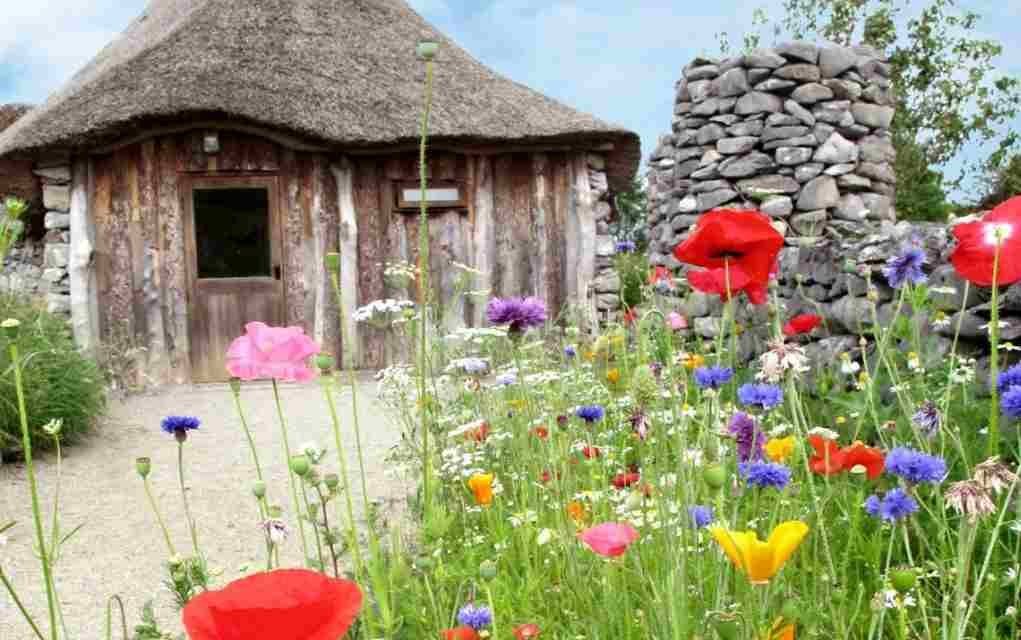 Places to Visit in Ireland with Kids: Hidden Gems You Never Knew About!