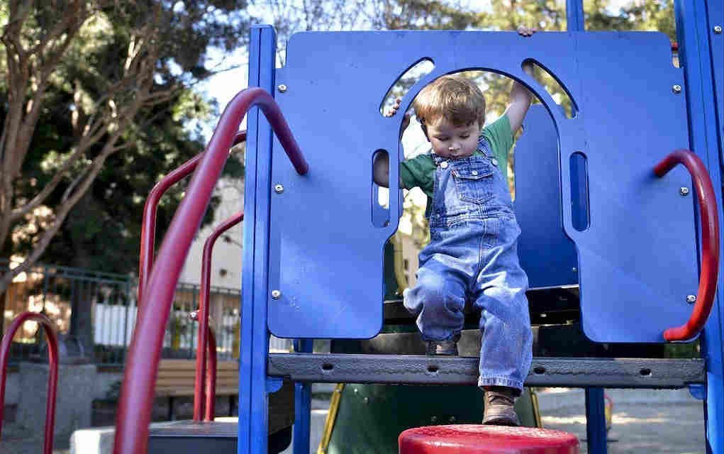 Fun Playgrounds in Tipperary to Take the Kids to