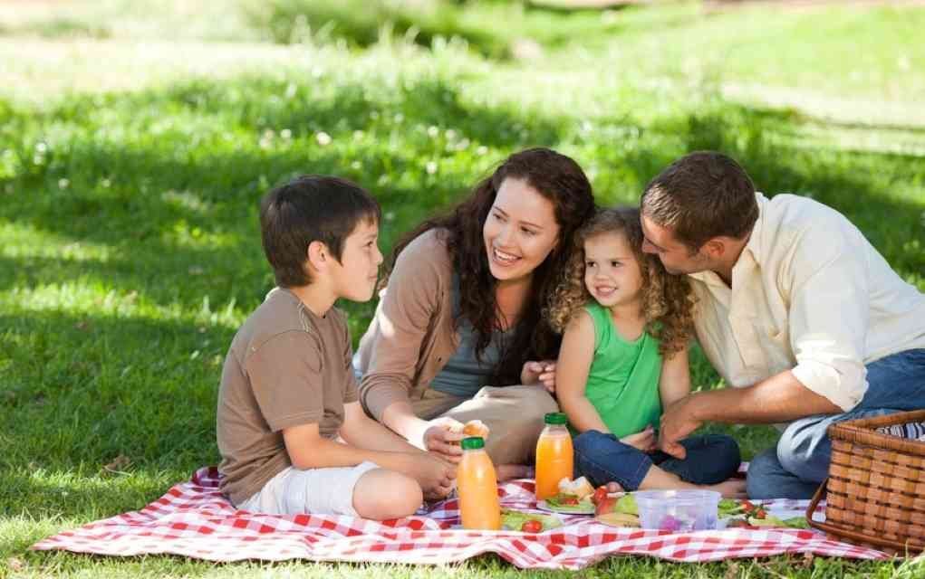 Practical Picnic Ideas for The Perfect Day Out with Kids
