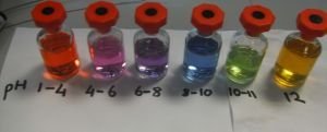 Science Experiments for Kids: The Red Cabbage Indicator