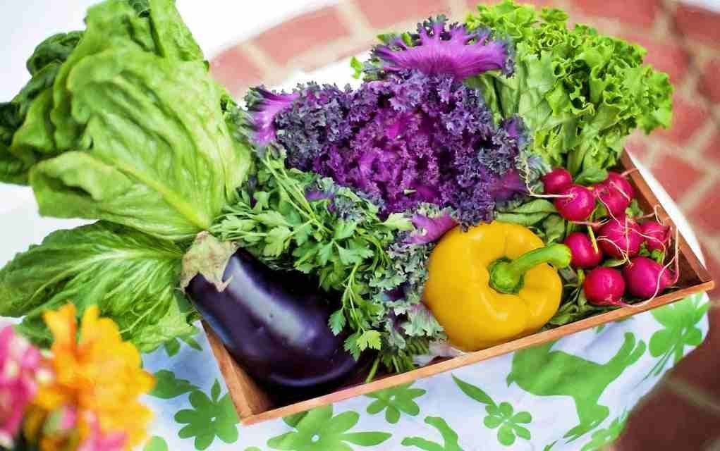 This Seasonal Food Calendar Will Help You Shop Smarter and Save Money