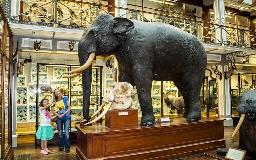 These Are the Best Museums in Ireland to Visit with Kids