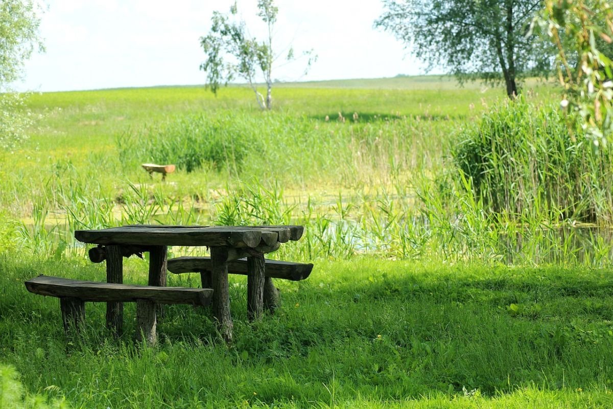 The Best Picnic Places in Laois for Families