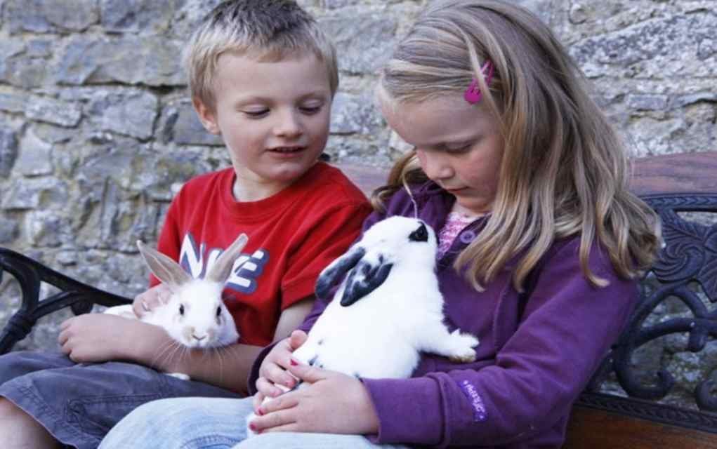 Things to Do with Preschoolers in Kilkenny