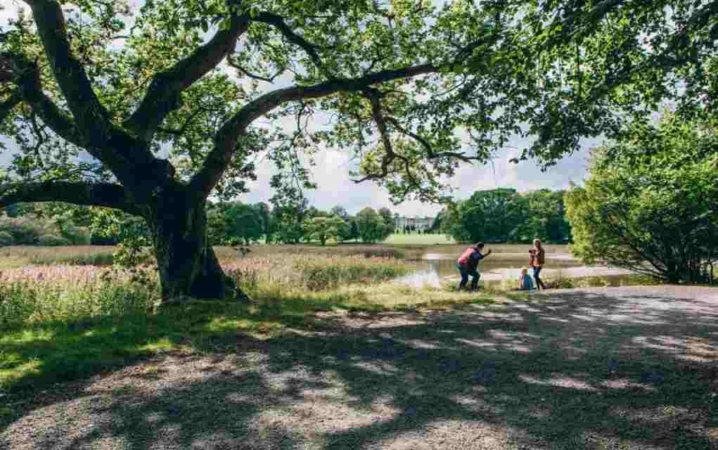 Things to Do with Preschoolers in Laois
