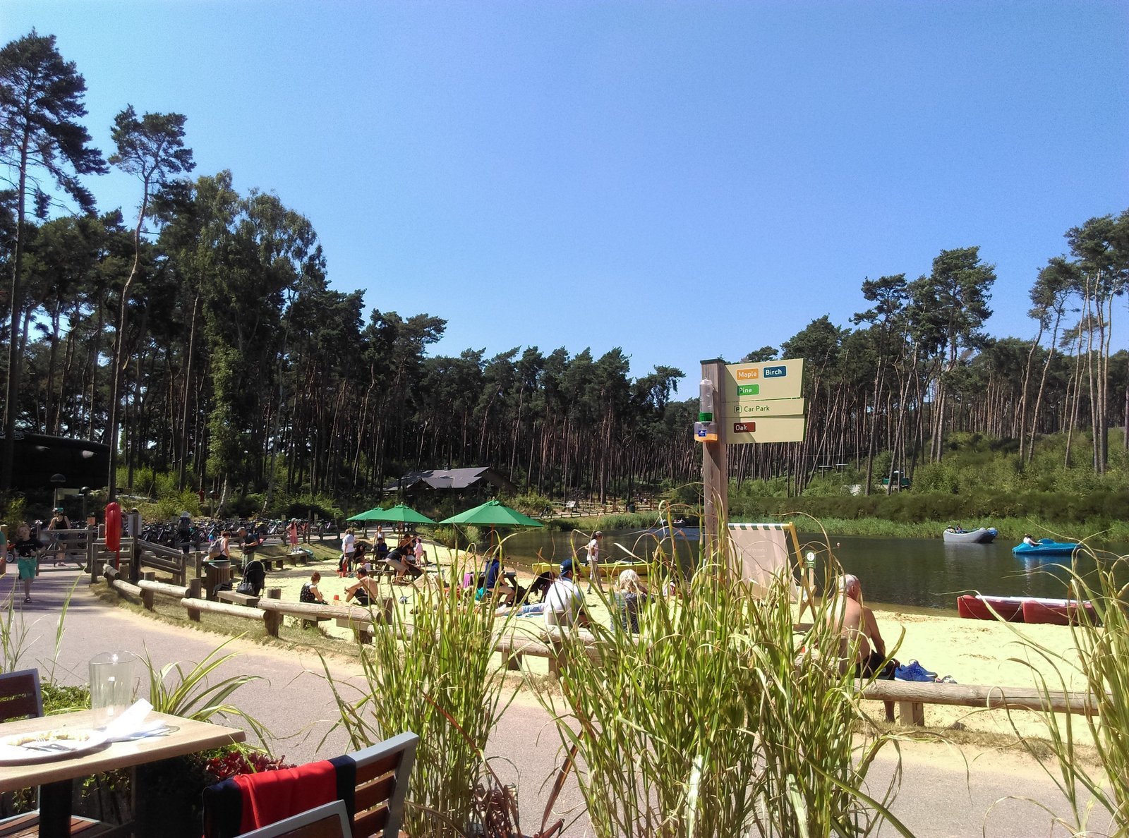 Top Tips for a Family Holiday at Center Parcs