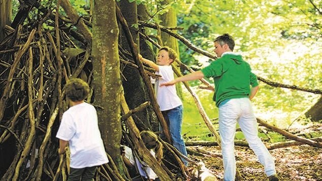 Useful Tips for Less Screen Time More Green Time