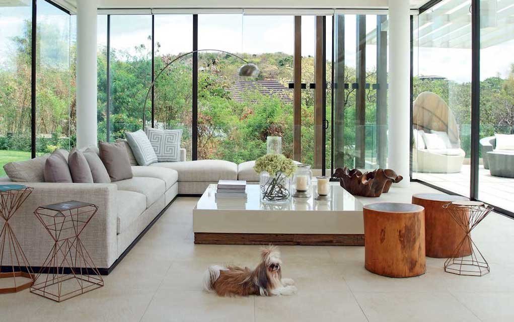 7 Top Tips to Have a Clean House with a Dog