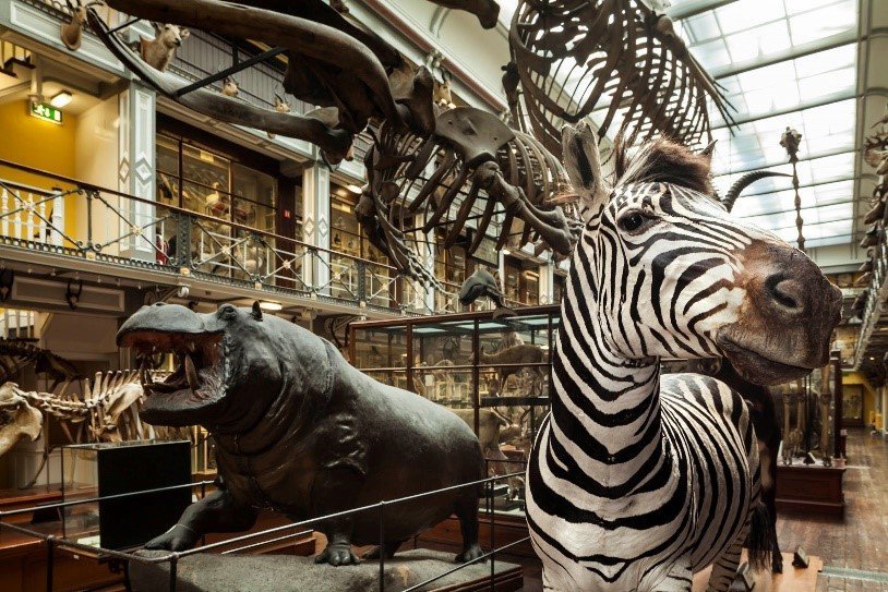 Top 10 Things To Do in Dublin with Kids