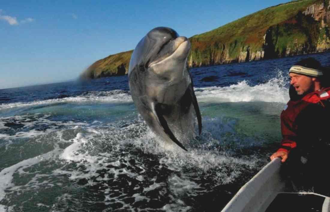 Top 10 Things to Do in Kerry with Kids