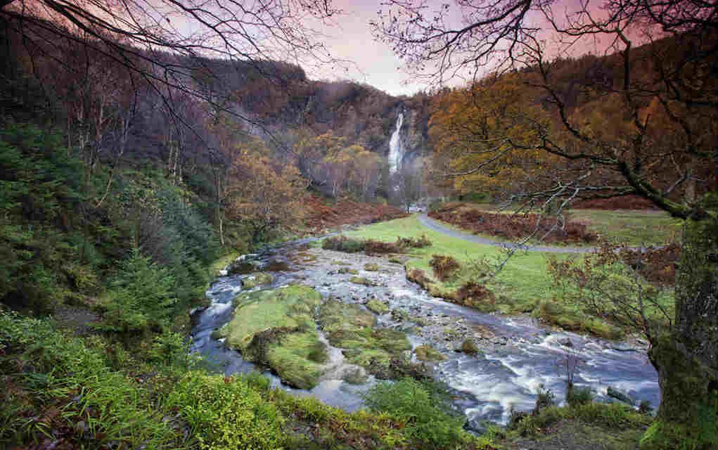 Top 10 Things to Do in Wicklow with Kids