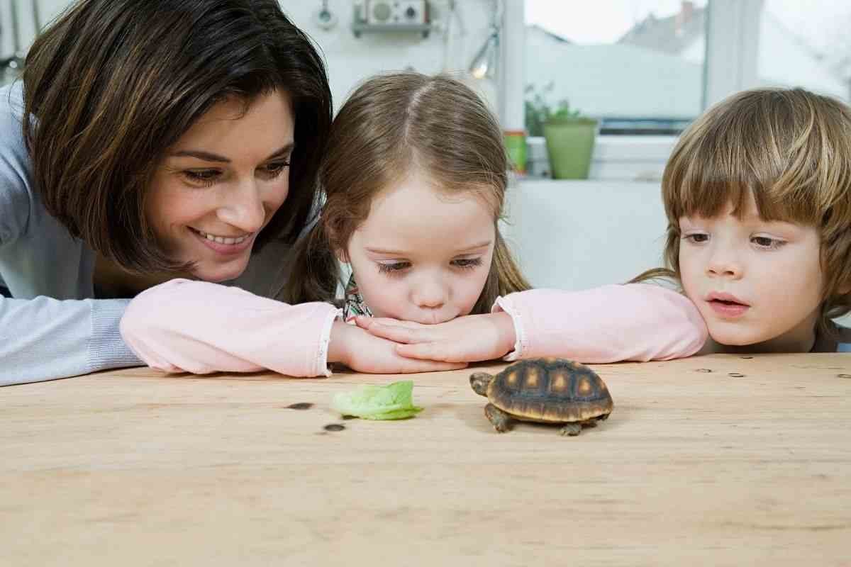 What Are The Best Pets for Kids to Get First?