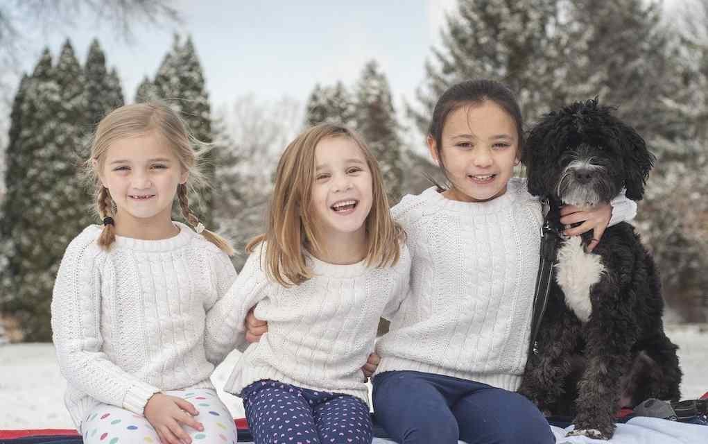Winter Staycation Ideas and Tips for Families in Ireland